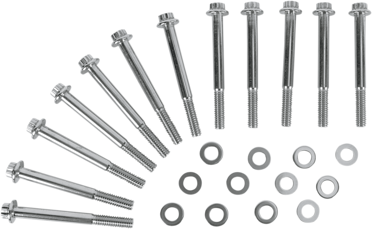 DIAMOND ENGINEERING Bolt Kit - Crankcase PB520S