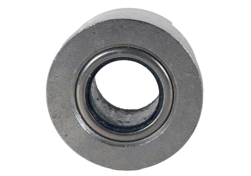 Ford Racing Roller PILOT Bearing 4.6L/5.4L and 5.0L 4V TIVCT Modular Engines M-7600-B