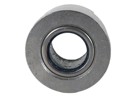 Ford Racing Roller PILOT Bearing 4.6L/5.4L and 5.0L 4V TIVCT Modular Engines M-7600-B