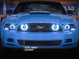 Raxiom 13-14 Ford Mustang GT CCFL Halo Fog Lights (Smoked) 49177