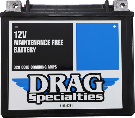 DRAG SPECIALTIES AGM Maintenance-Free Battery - YTX20HLBSFT For Harley  CTX20HL-BS FT