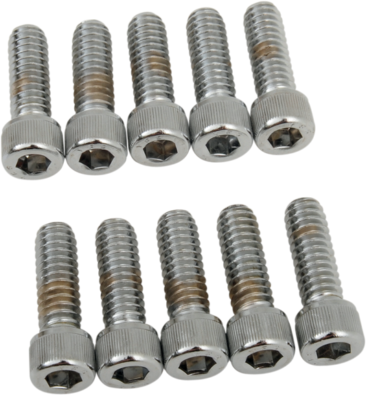 DRAG SPECIALTIES Bolts - Socket-Head - Knurled - 1/4-20 x 3/4" MPB179