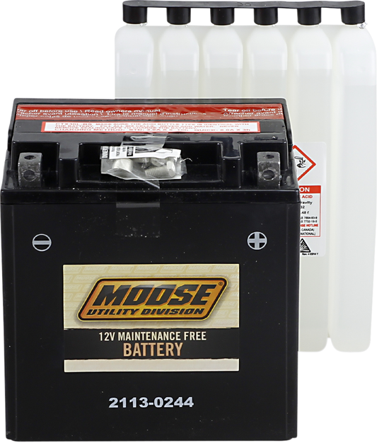 MOOSE UTILITY AGM Battery - YIX30L-BS 2113-0244