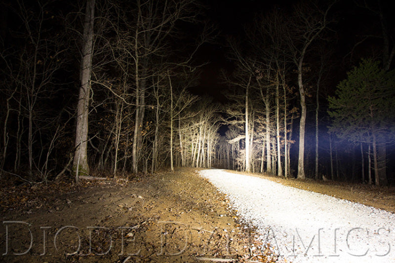 Diode Dynamics 18 In LED Light Bar Single Row Straight Clear Driving Each Stage Series DD5016