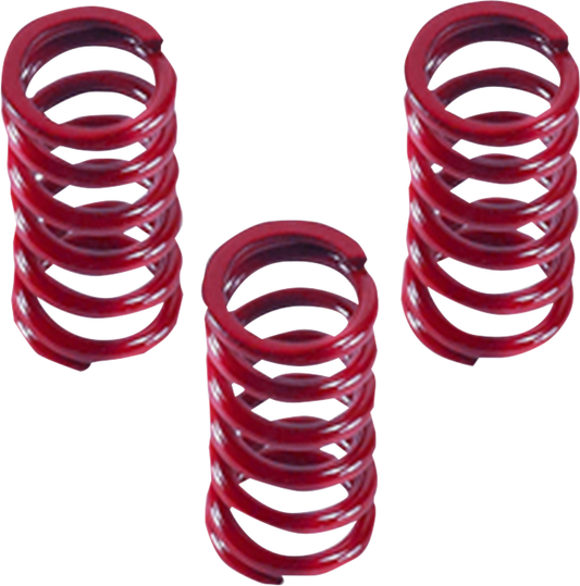 DRAG SPECIALTIES Clutch Springs 11313616