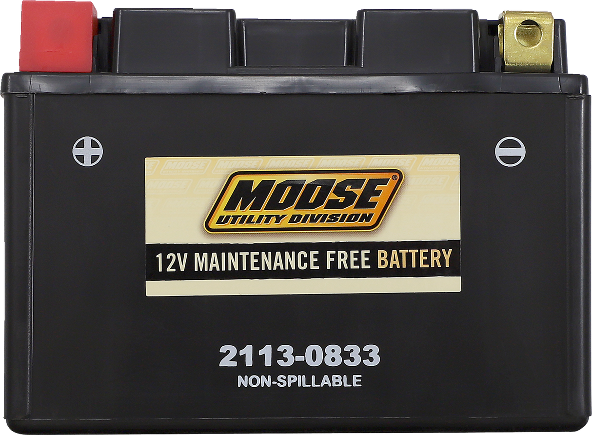 MOOSE UTILITY AGM Battery - CTZ14S CTZ14S