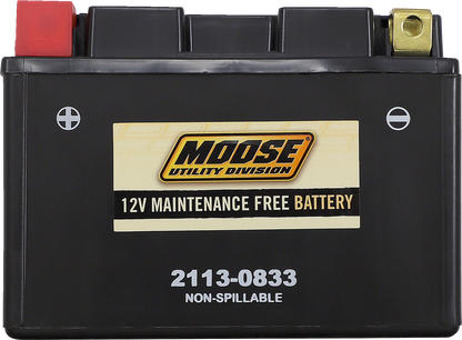 MOOSE UTILITY AGM Battery - CTZ14S CTZ14S