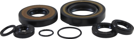 VINTCO Oil Seal Kit KOS005