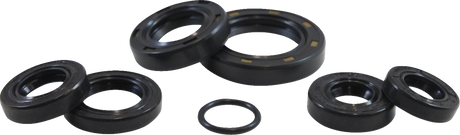 VINTCO Oil Seal Kit KOS002