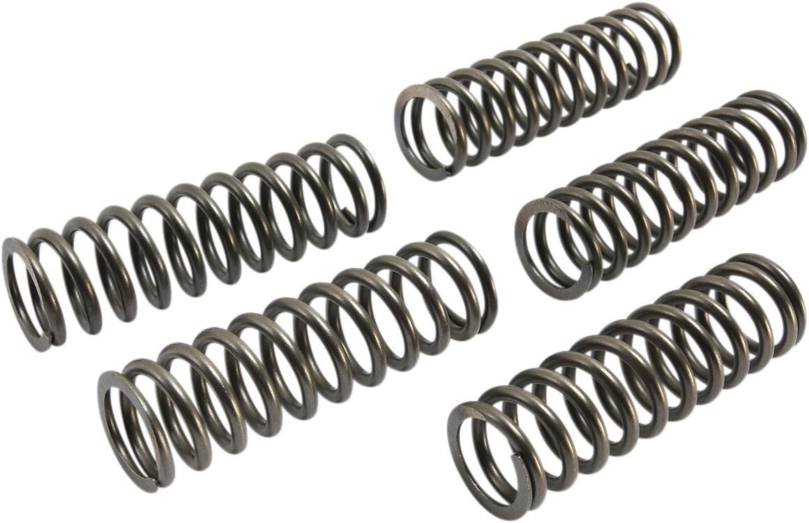 EBC Clutch Springs CSK223