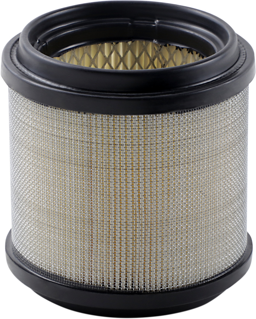 EMGO Air Filter - Polaris All 2-Stroke 12-94280