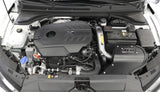 AEM C.A.S 19-20 Hyundai Veloster N 2.0T F/I Cold Air Intake System 21-873C