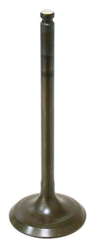 BRONCO Intake Valve AU-09160I