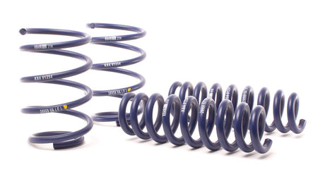 H&R 13-15 BMW X1 sDrive28i E84 Sport Spring (2WD Only) 28959-2