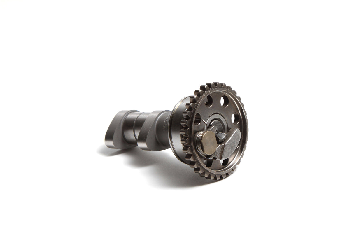 HOT CAMS Racing Cam Stage 2 4301-2E