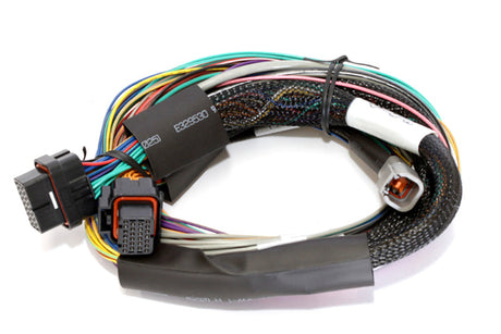 Haltech Elite 2500 Basic Universal Wire-In Harness ECU Kit HT-151302