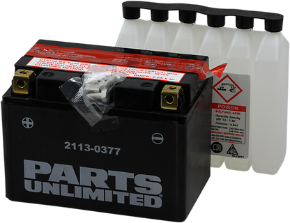 Parts Unlimited Agm Battery - Ytz14s-Bs Ctz14s-Bs