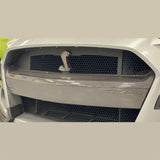 Ford Racing 20-21 Mustang GT500 Carbon Fiber Bumper Insert M-17750-MCF