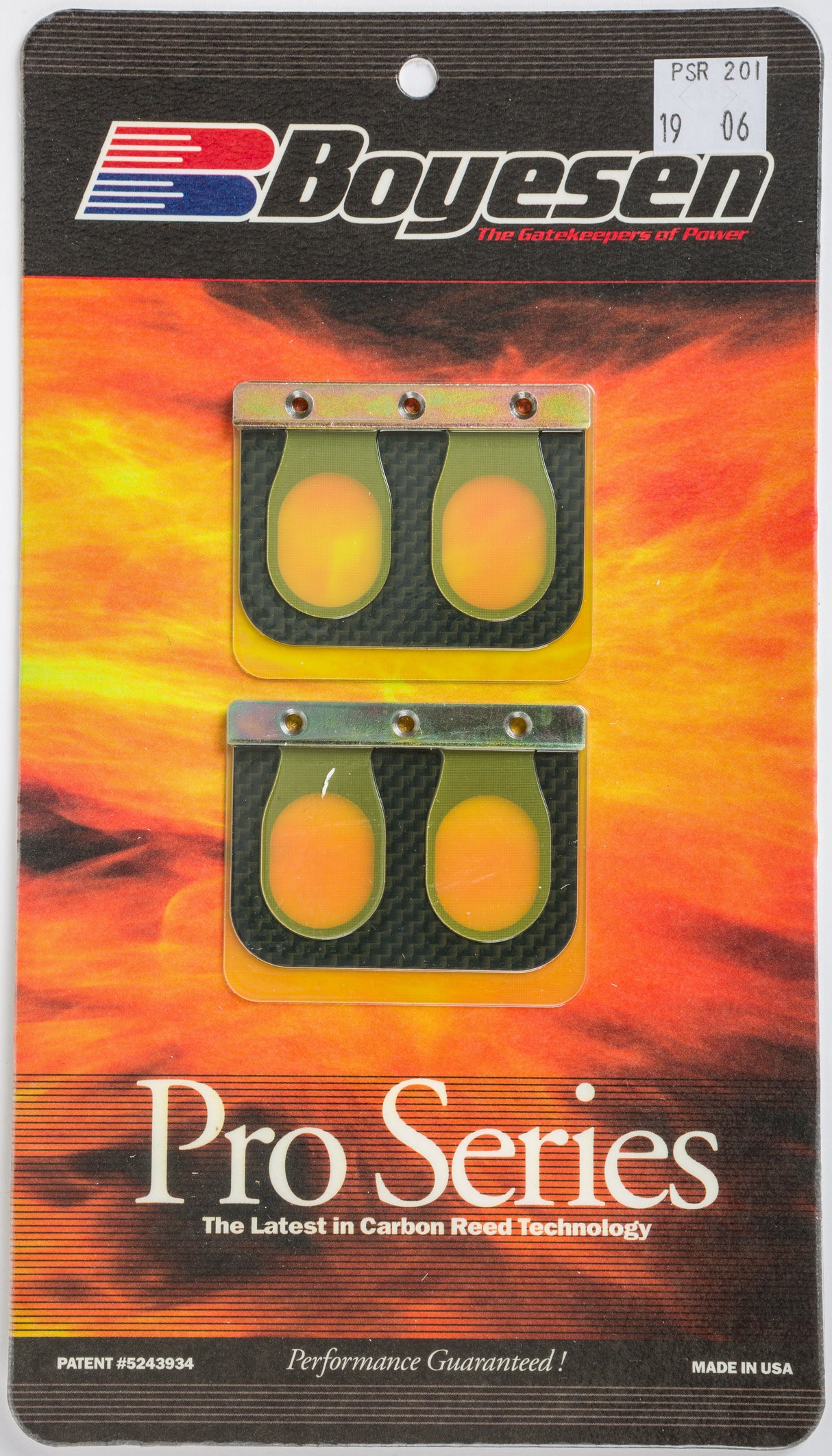 BOYESEN Motorcycle Pro Reeds PSR-201