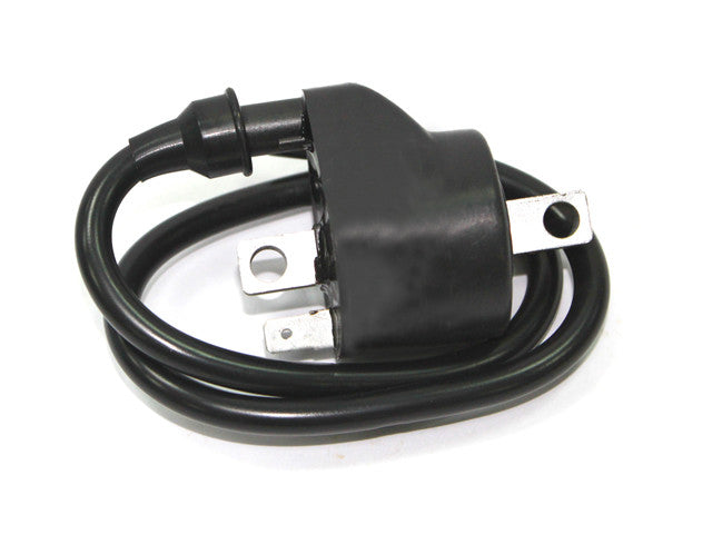 BRONCO Atv Ignition Coil AT-01319