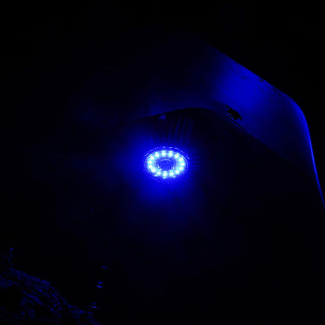 KC HiLiTES Cyclone V2 LED - Replacement Lens - Blue - Single 4404