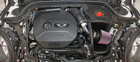 K&N 14-15 Mini Cooper 1.5L Typhoon Performance Intake Kit 69-2026TTK