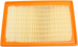 HIFLOFILTRO Air Filter - S1000R/RR/XR HFA7918