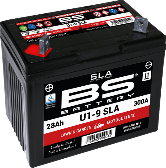 BS BATTERY SLA Factory- Activated AGM Maintenance-Free Battery Battery - U1-9  300901