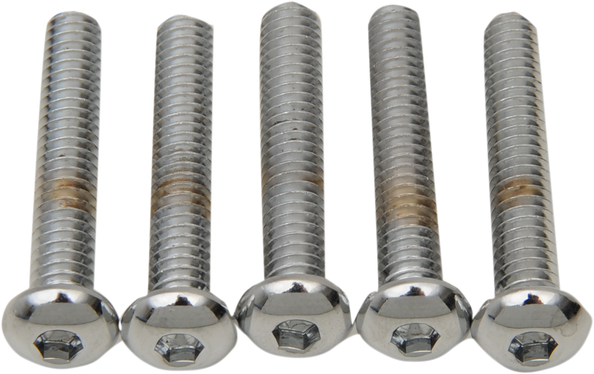 DRAG SPECIALTIES Bolts - Button-Head - 1/4"-20 x 1-1/4" MPB821