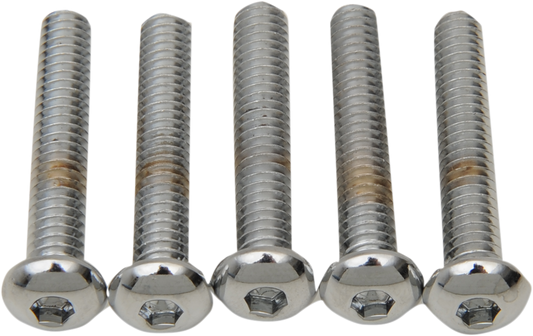 DRAG SPECIALTIES Bolts - Button-Head - 1/4"-20 x 1-1/4" MPB821