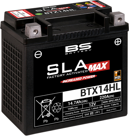 BS BATTERY Battery - BTX14HL (YTX) 300882