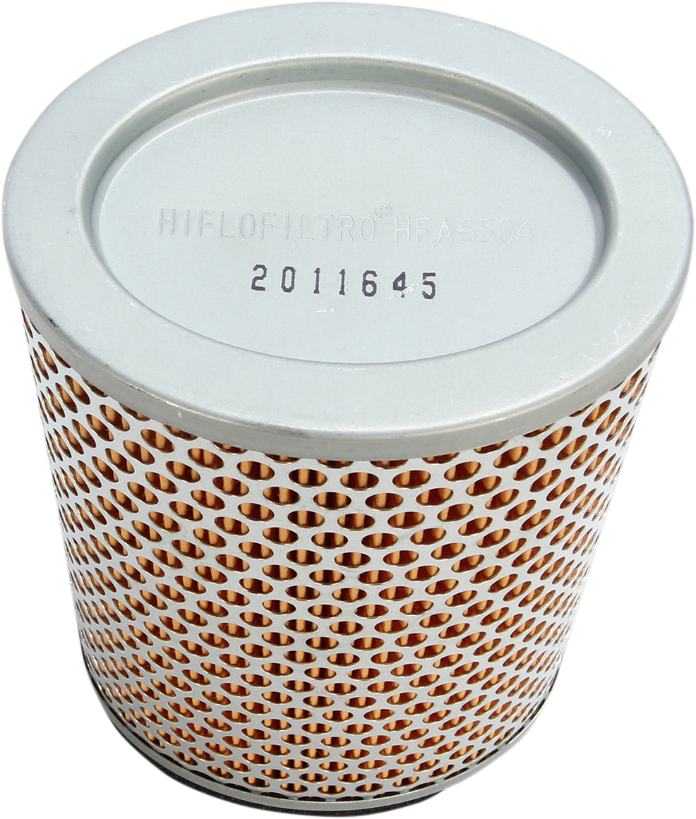 HIFLOFILTRO Air Filter - Triumph '01-'16 HFA6504