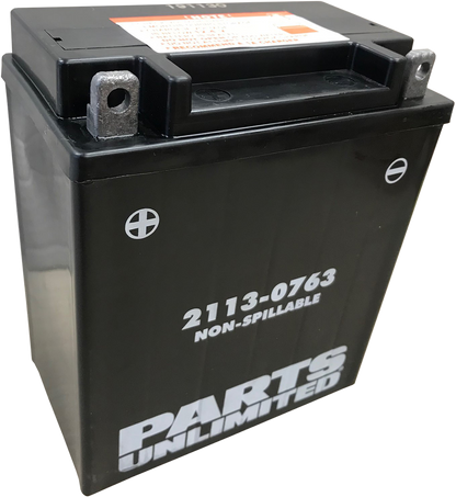 Parts Unlimited Agm Battery - Ctx12aabs Ctx12aabs (Fa)