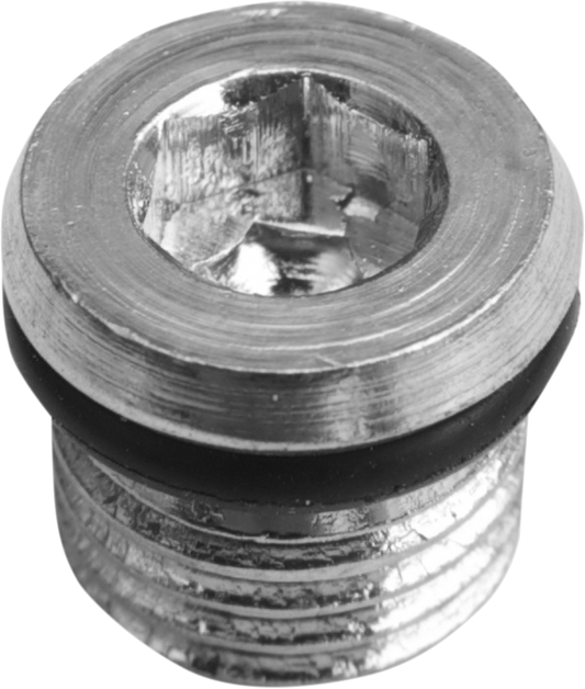 DRAG SPECIALTIES Primary Plug - 5/16"-18 11-0298P