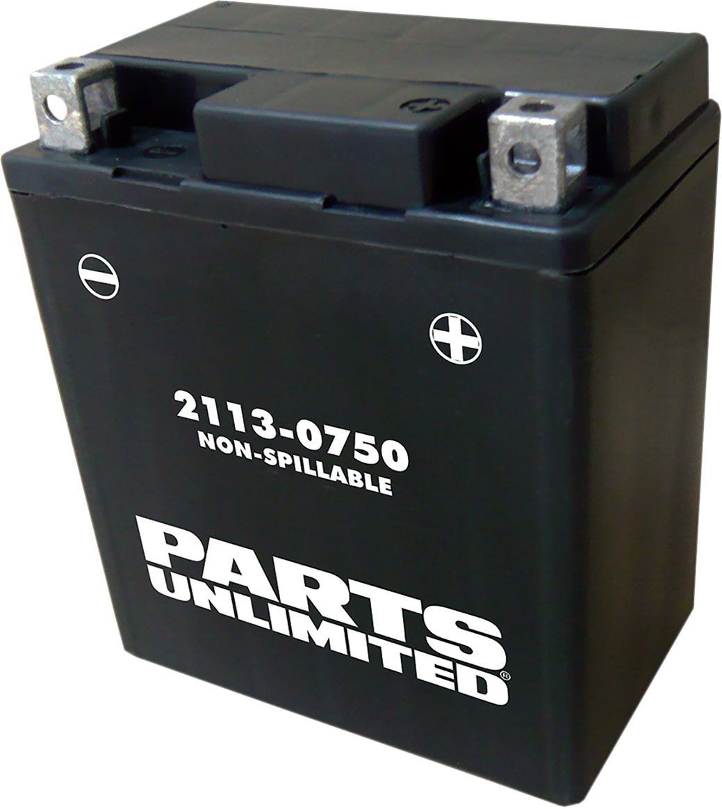 Parts Unlimited Agm Battery - Ytx7l Ctx7l