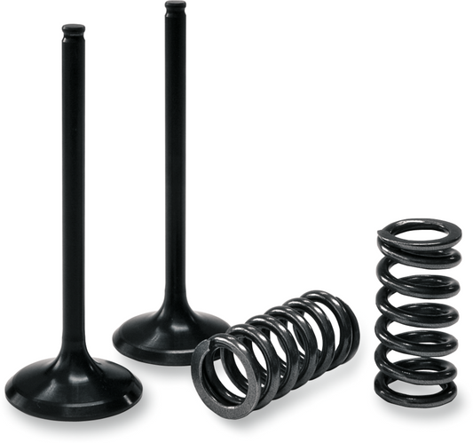 PROX Valve and Spring Kit 28.SES6353-1