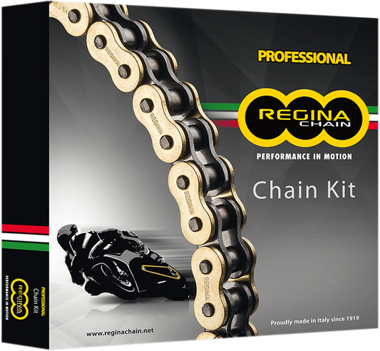 REGINA Chain and Sprocket Kit - Triumph - FZ1 - '06-'15 6ZRP2/122KYA022