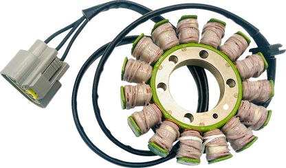 RICK'S MOTORSPORT ELECTRIC Stator - BMW 21-038