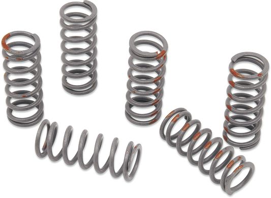 KG POWERSPORTS Clutch Spring Set KGS-055