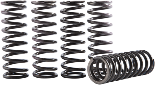 HINSON RACING Clutch Spring Kit - CRF250R/RX CS189-5-0613