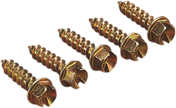 GOLD SCREWS Ice Screws - Gold - 1" - 250 1250-0061
