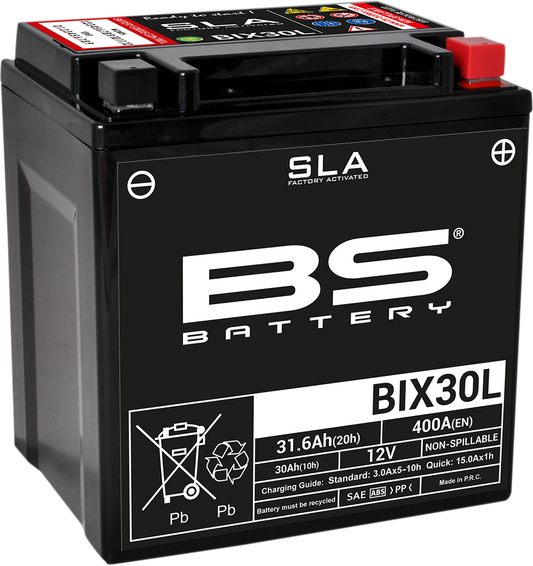 BS BATTERY Battery - BIX30L (YIX) 300631