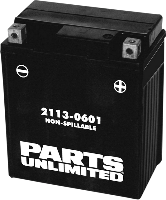 Parts Unlimited AGM Battery Factory Activated  - YTZ8V  2113-0601