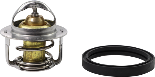 ALL BALLS Thermostat - Polaris 16-3001