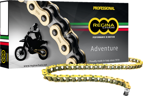 REGINA 520 ZRE - Z-Ring Chain - 110 Links 135ZRE/1003