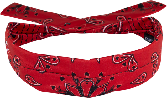 ZAN HEADGEAR Polyester Cooldanna - Red Paisley DP106