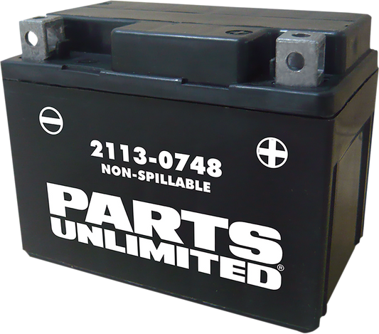 Parts Unlimited Agm Battery - Ytx4l Ctx4l