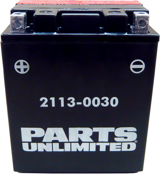 Parts Unlimited Agm Battery - Ytx14ahbs .798l Ctx14ah-Bs