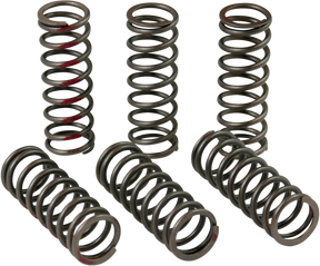 PRO CIRCUIT Clutch Springs CSH13450-CS