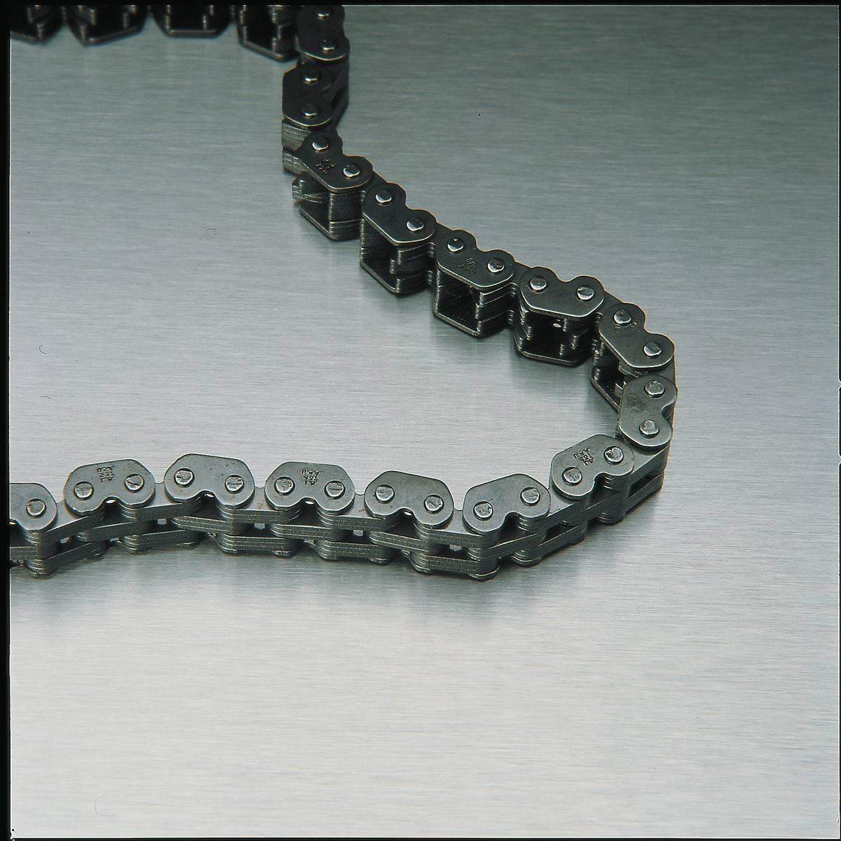 REXNORD CORPORATION Silent Chain - 13 Width - 76 Links S37TNB1376PAW